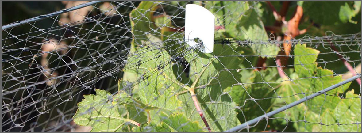 Swimming Pool Covering Net